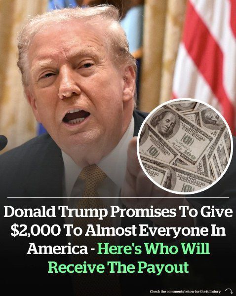 Donald Trump promises