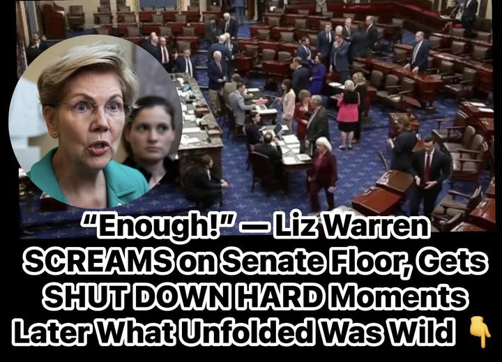 Dem Sen. Warren Makes Big Announcement About Her Political Future