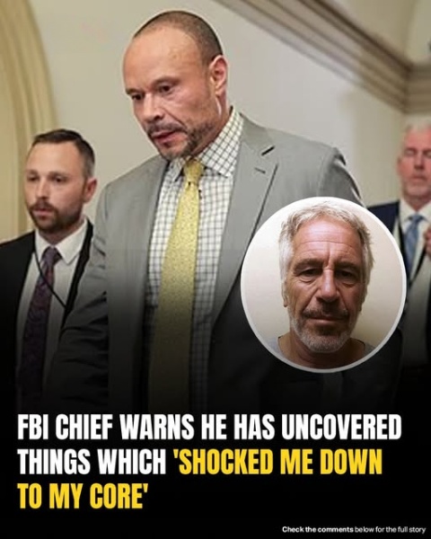 Top FBI Official Speaks Out With Surprising Claim Regarding Epstein Case