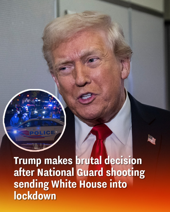 Trump makes brutal decision after National Guard shooting sending White House into lockdown