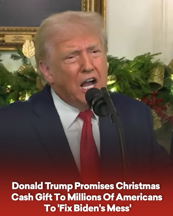Donald Trump Promises Christmas Cash Gift To Millions Of Americans To ‘Fix Biden’s Mess’