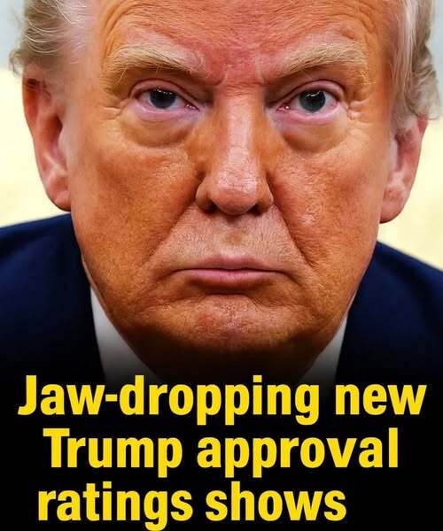 Fresh Trump Approval Poll Shows What the U.S. Truly Believes