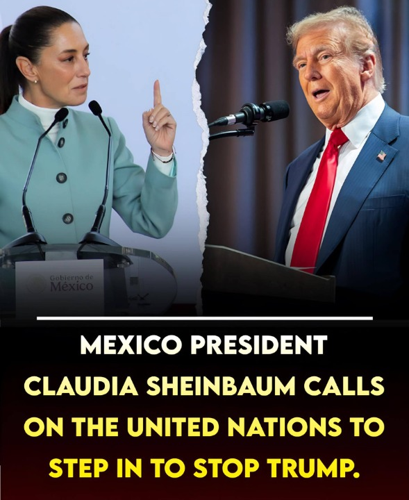 Mexican President Claudia Sheinbaum issue